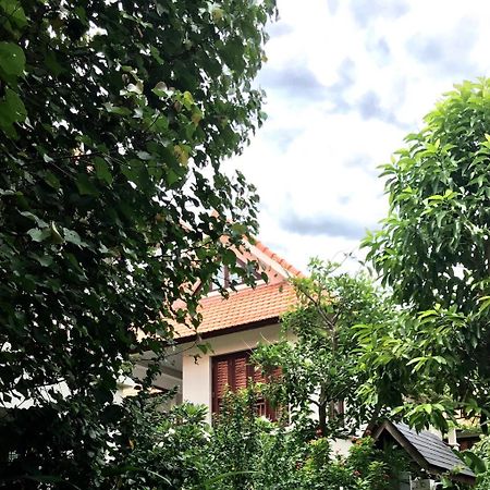 Pearl Paradise Villa Danang Eksteriør billede