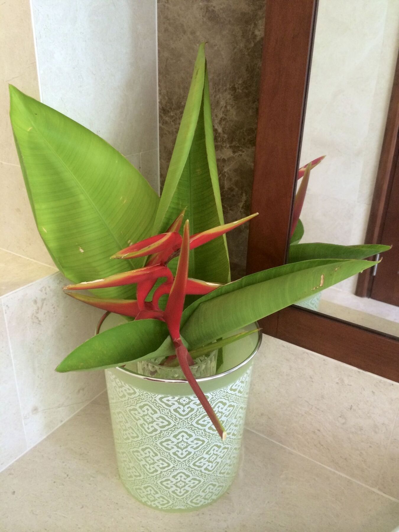 Pearl Paradise Villa Danang Eksteriør billede